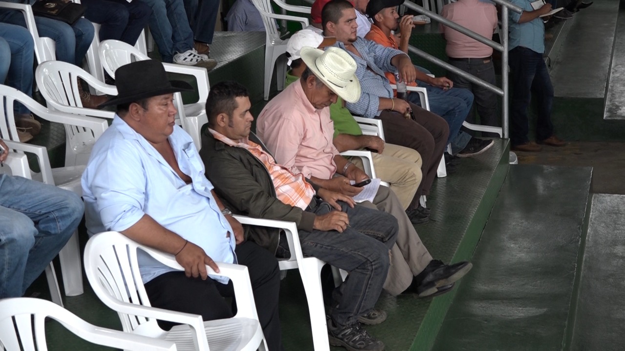 Ganado2